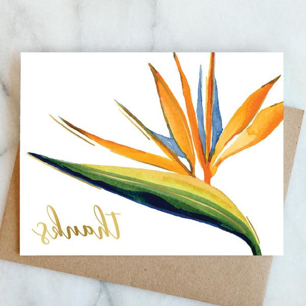 Birds of Paradise Thanks Cards